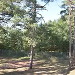 Guest house Alte Flugleitung 3*
