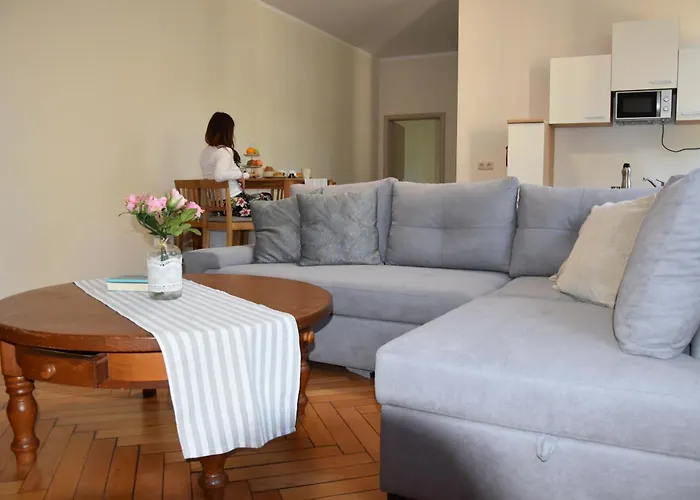 Guest house Alte Flugleitung 3*