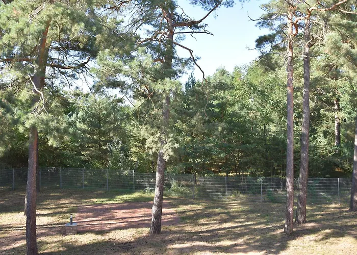 Guest house Alte Flugleitung 3*